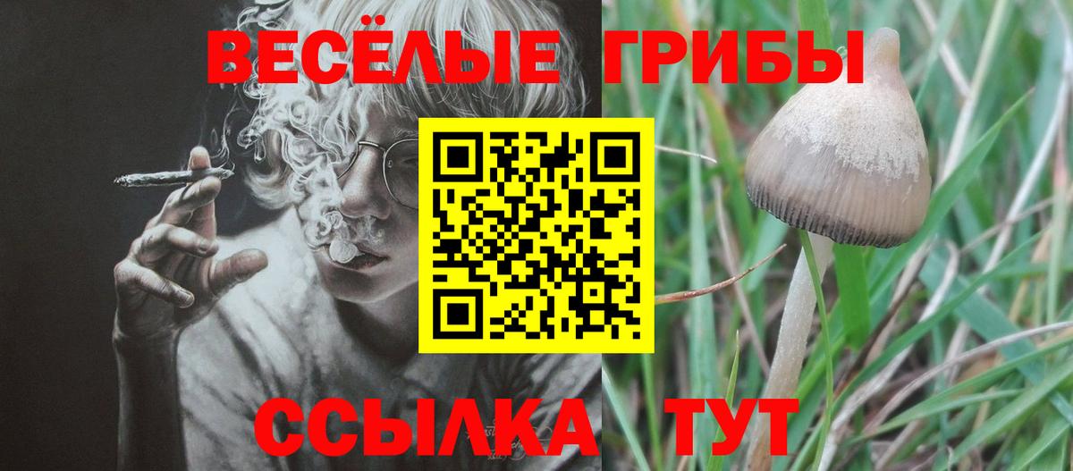 Советск  Псилоцибиновые грибы MAGIC MUSHROOMS  Вход с VPN  Псилоцибиновые грибы Psilocybine cubensis 